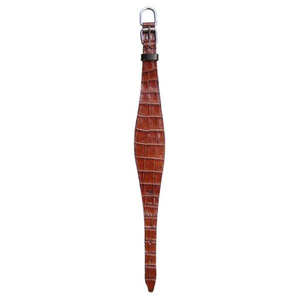 Dog Collar & Leashes